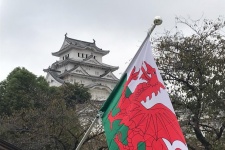 Welsh flag with Japanese building in the backgorund