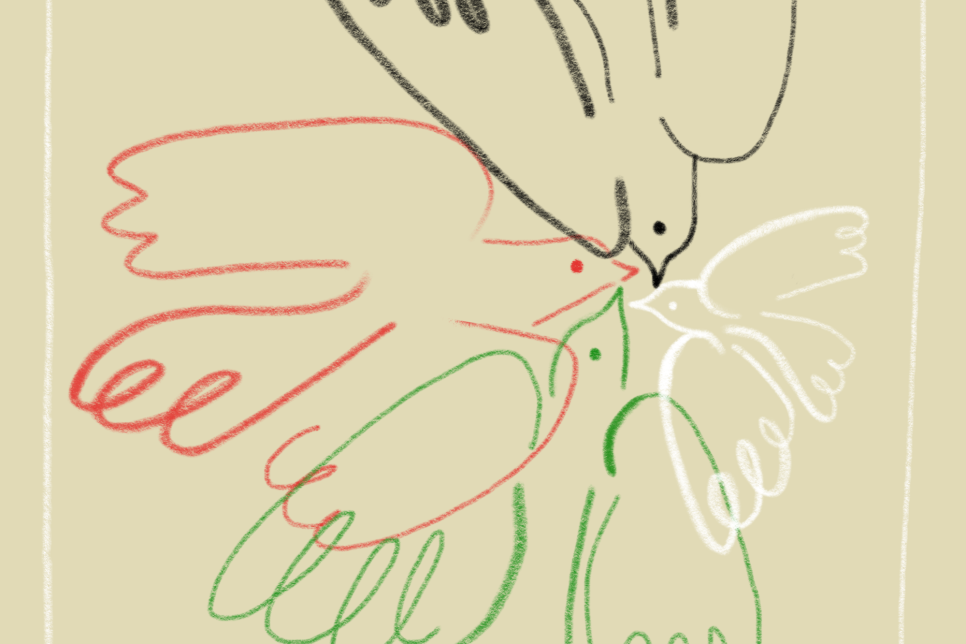 Codi Pais - Clawr gan Sioned Medi Illustration of black, white, green and red birds on a beige background