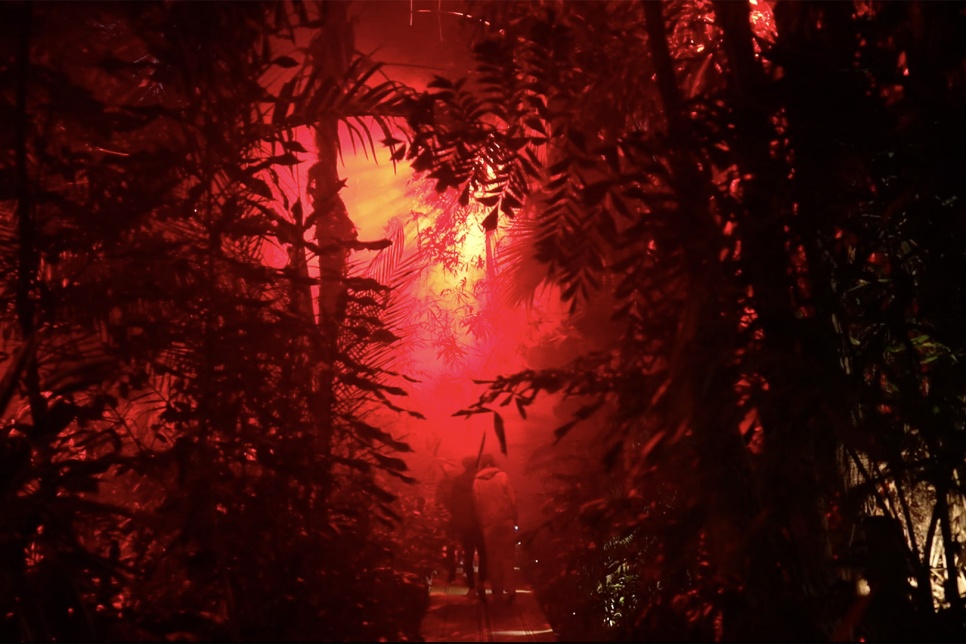 Shadows of people heading into a very brightly lit red forest