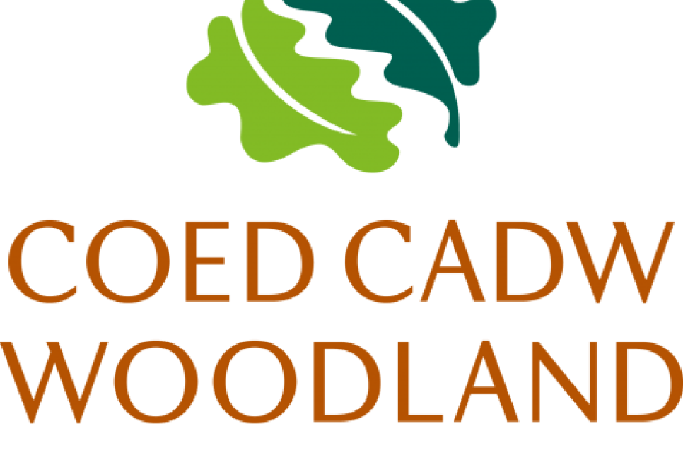 Logo - Woodland Trust / Coed Cadw