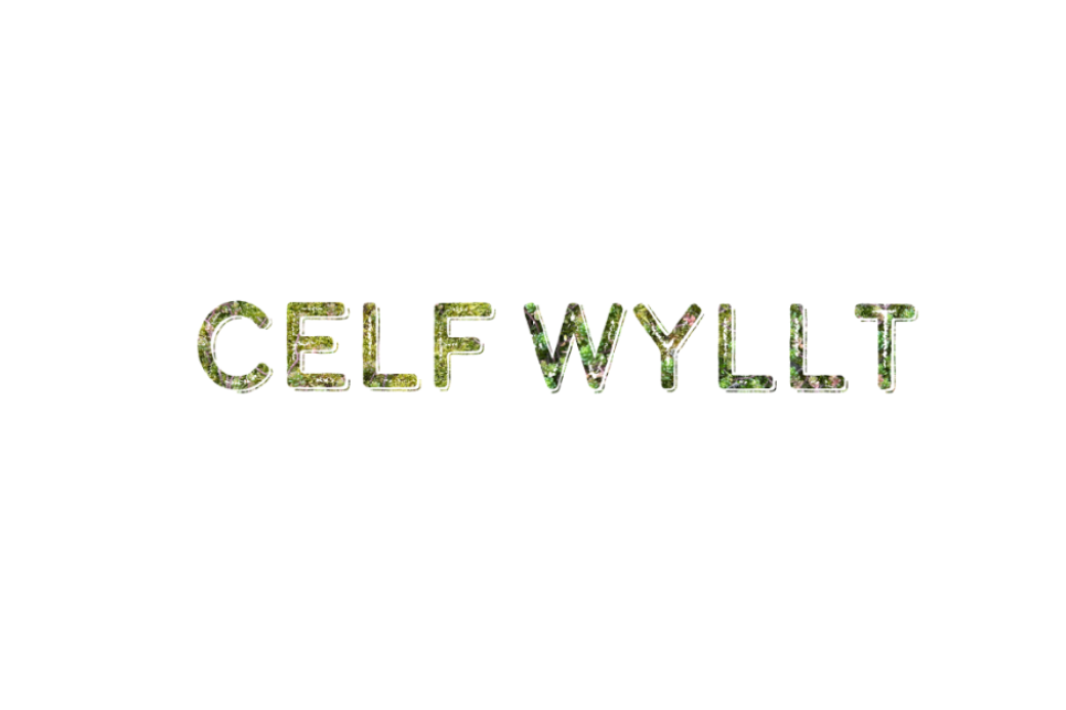 Logo - Celf Wyllt