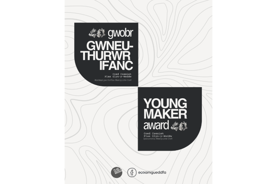 Poster advertising the opportunity / Poster yn hysbysebu'r cyfle