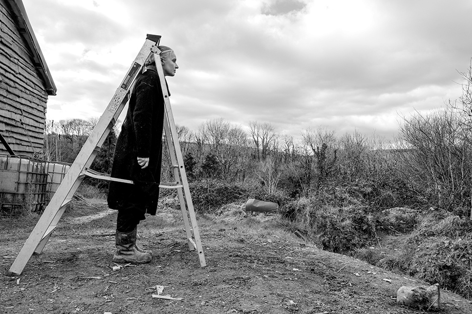 A person stands in a step ladder looking out over a field